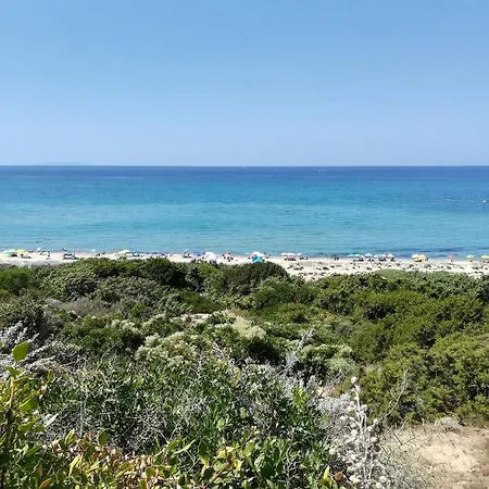 Sea Paradise アパート *